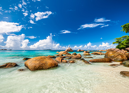 注冊(cè)BVI公司的弊端